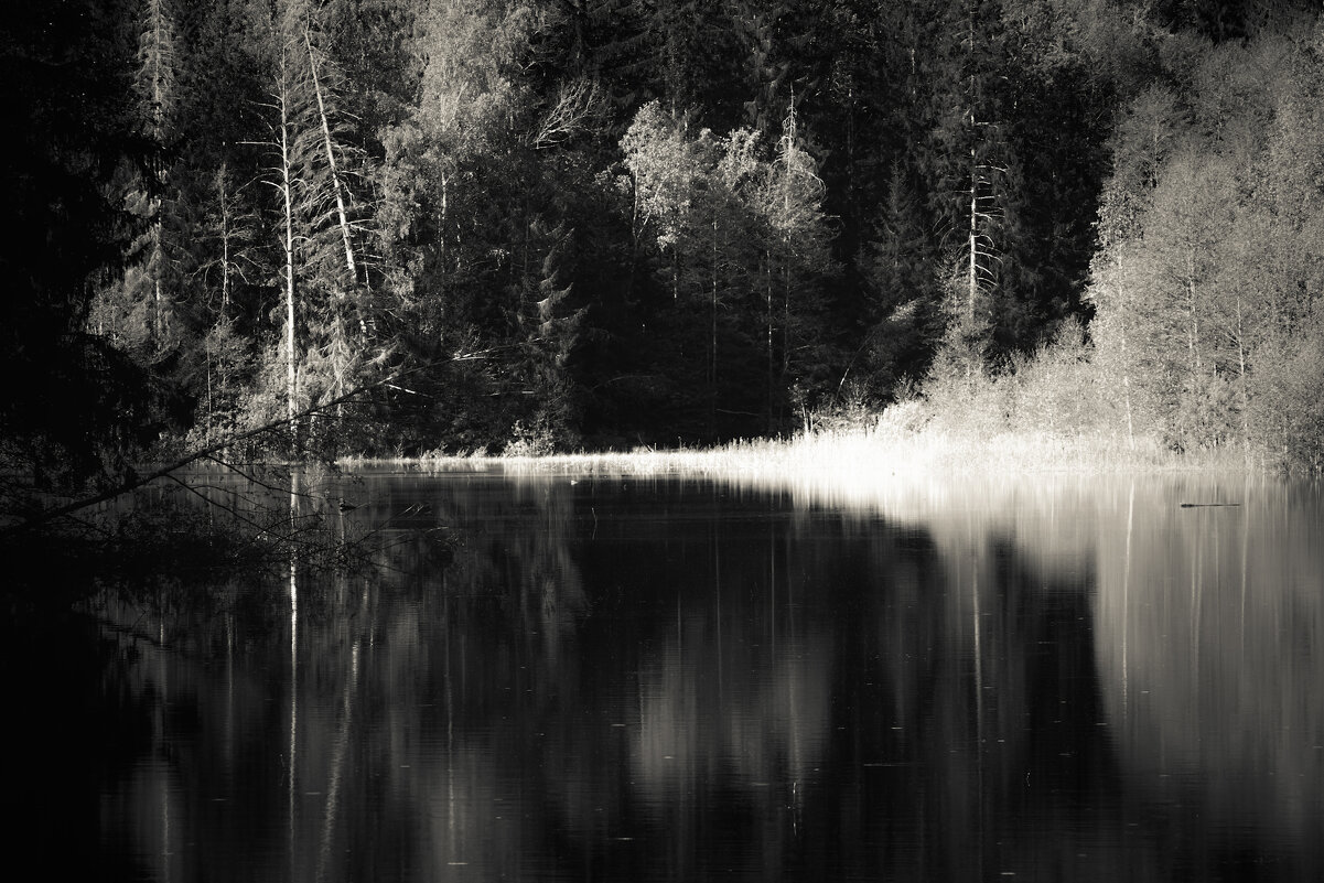 Природа Козелкина зутора - Sergei Vikulov Природа Козелкина зутора - Sergei Vikulov