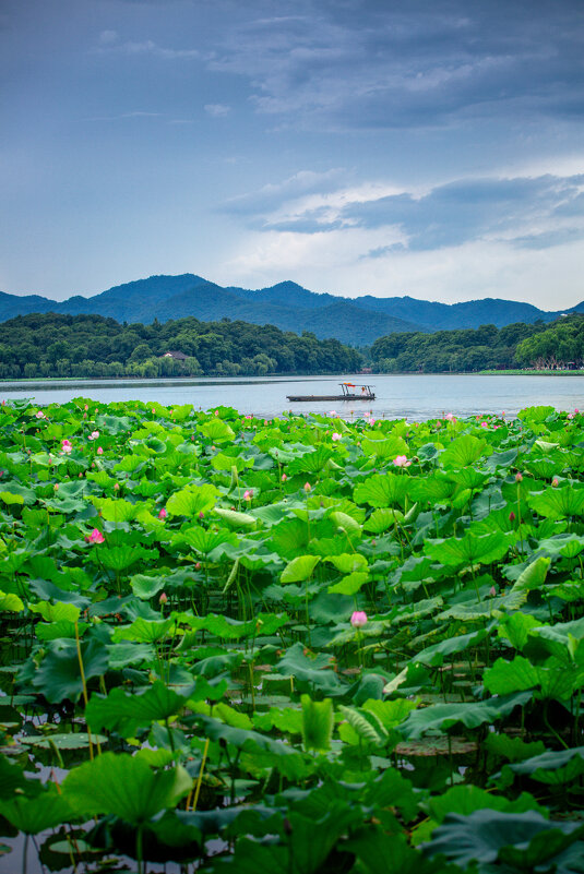 Озеро Сиху в Ханчжоу - Дмитрий 