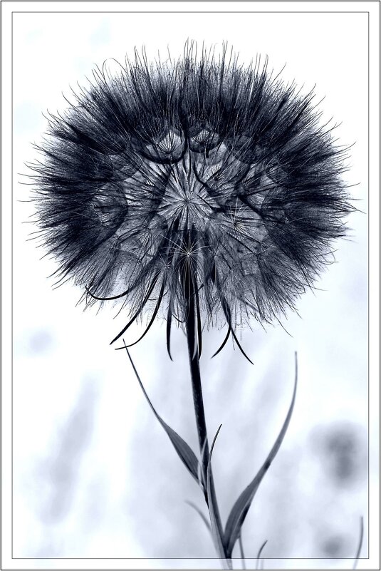 ... - Юрий Ковшов