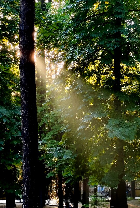 По лучику - Александр Кондаков По лучику - Александр Кондаков