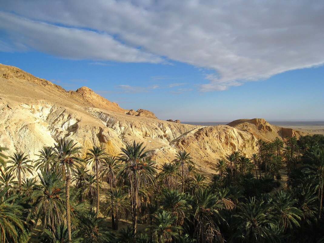 Кусочек Туниса. - unix (Илья Утропов) Кусочек Туниса. - unix (Илья Утропов)