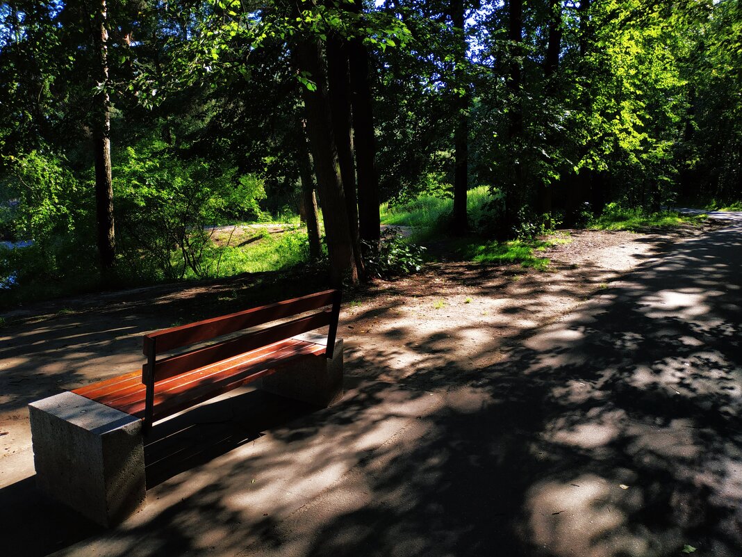 Жарко, конечно, но в парке всё же не +35 - Андрей Лукьянов