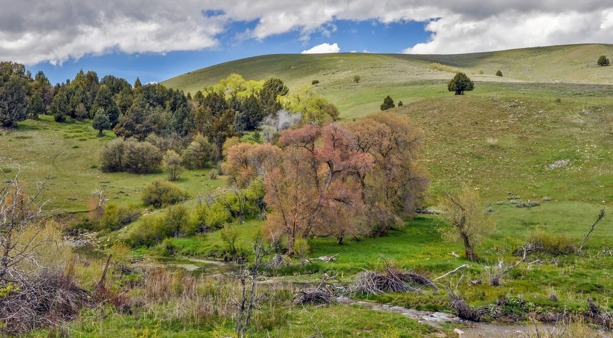 Ручеек - **** vedin
