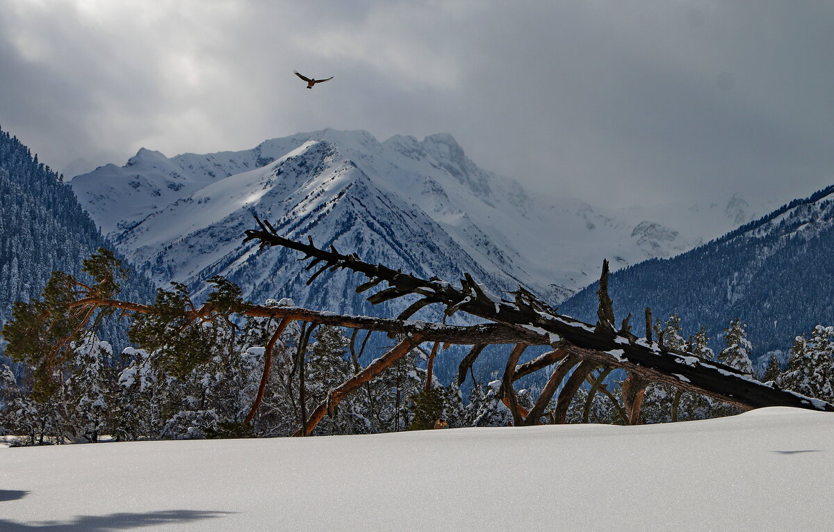 В горах К. - Ч. - Р  - 4 - Анатолий Стрельченко