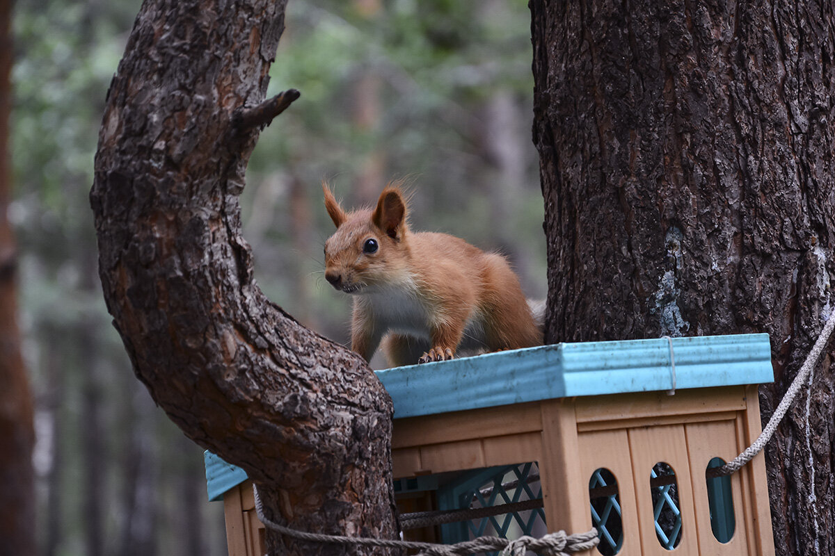 На крыше - Геннадий Супрун На крыше - Геннадий Супрун