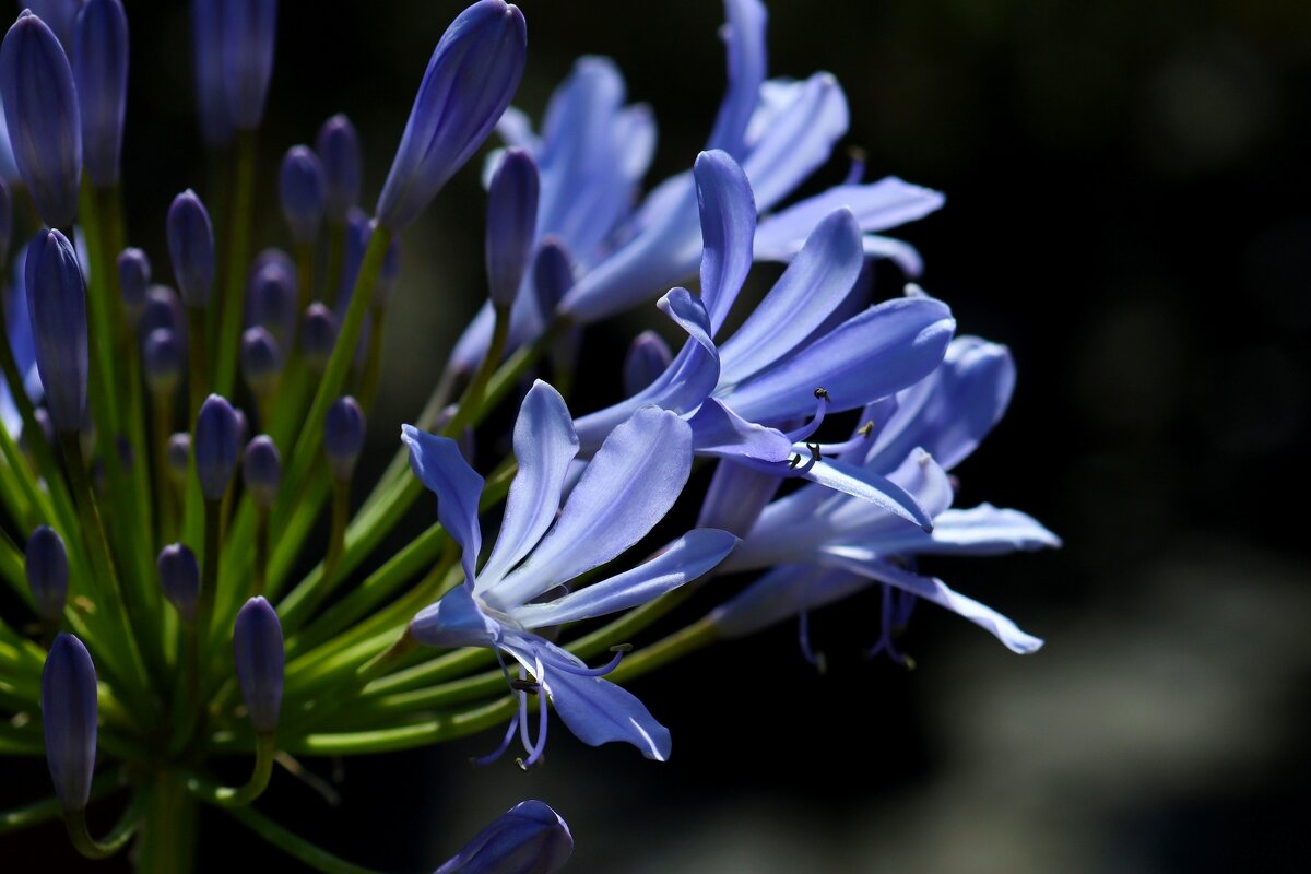 Доброе утро - Юрий. Шмаков Доброе утро - Юрий. Шмаков