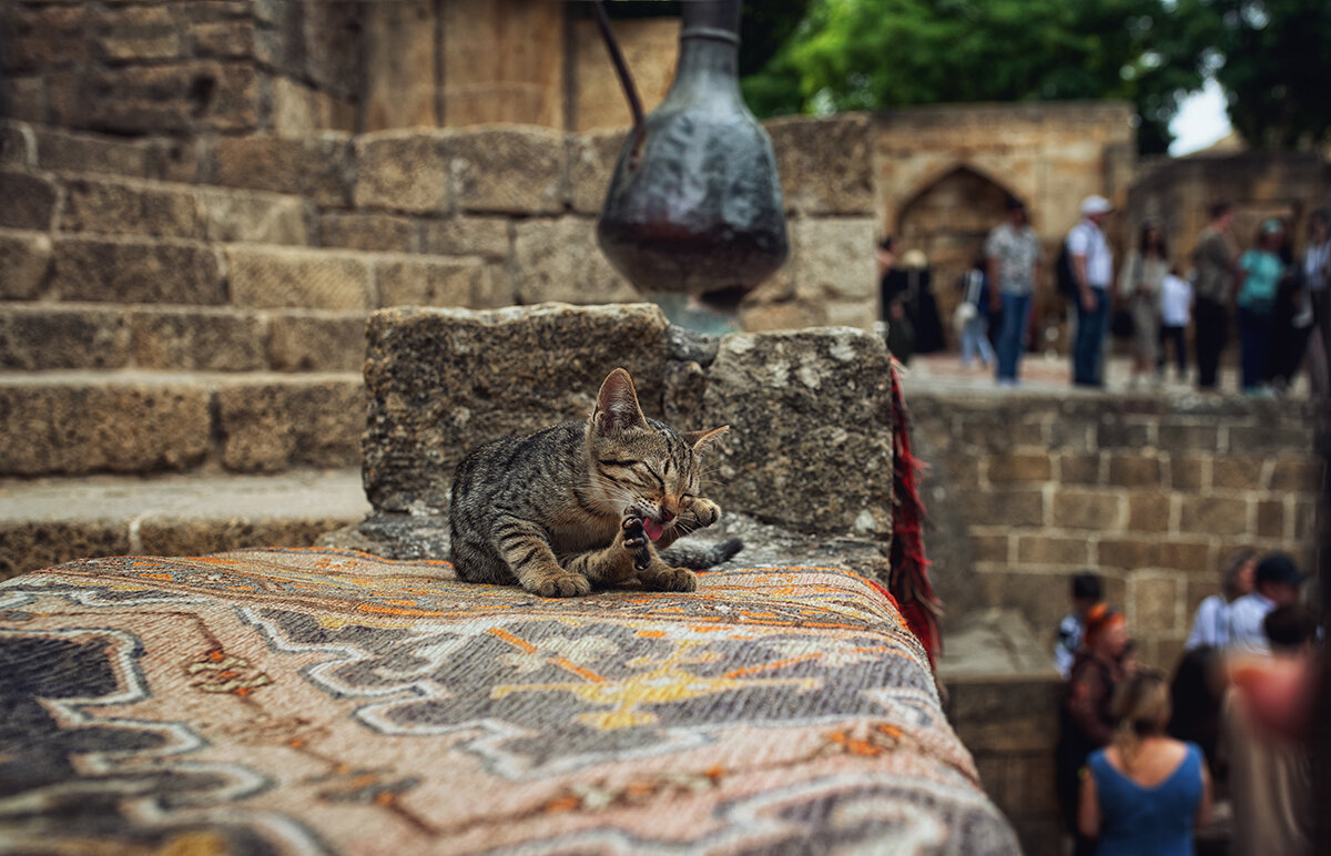 В Персидской цитадели.. - Лилия . В Персидской цитадели.. - Лилия .