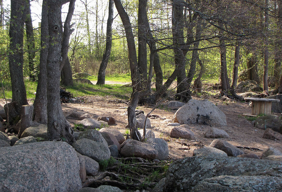 Весенний пейзаж - Александр Ильчевский Весенний пейзаж - Александр Ильчевский