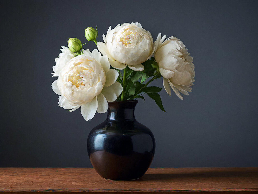 Пионы - Aleksey Afonin