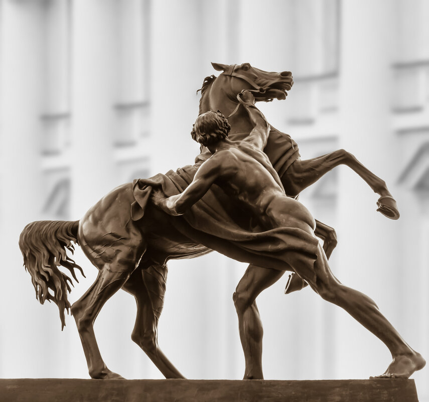 Петербургские кони (2) - Игорь Викторов Петербургские кони (2) - Игорь Викторов