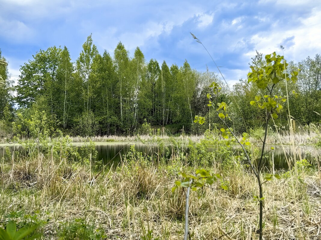 Майские выходные - Светлана 13.06. Майские выходные - Светлана 13.06.