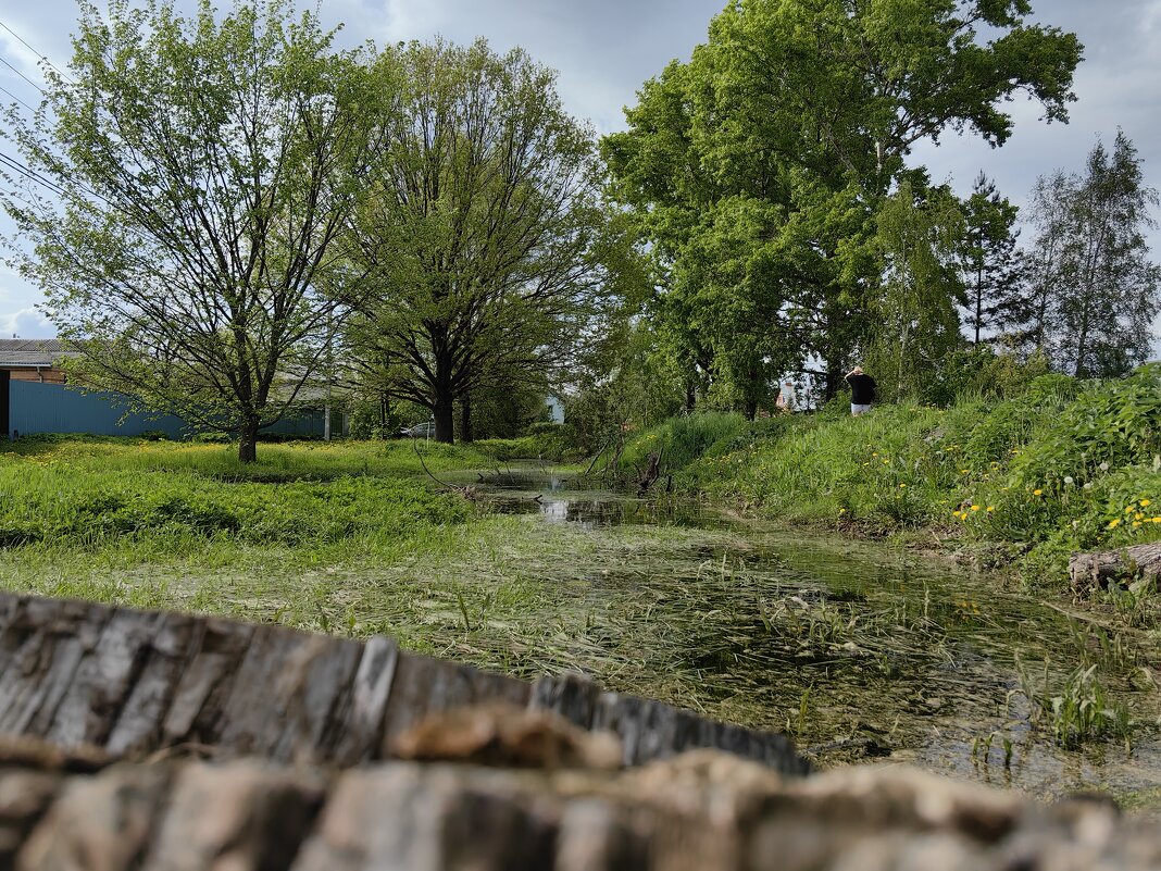 Май в деревне. - Светлана 13.06.