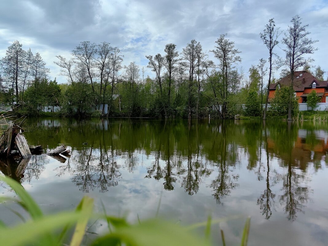 Май в деревне - Светлана 13.06.