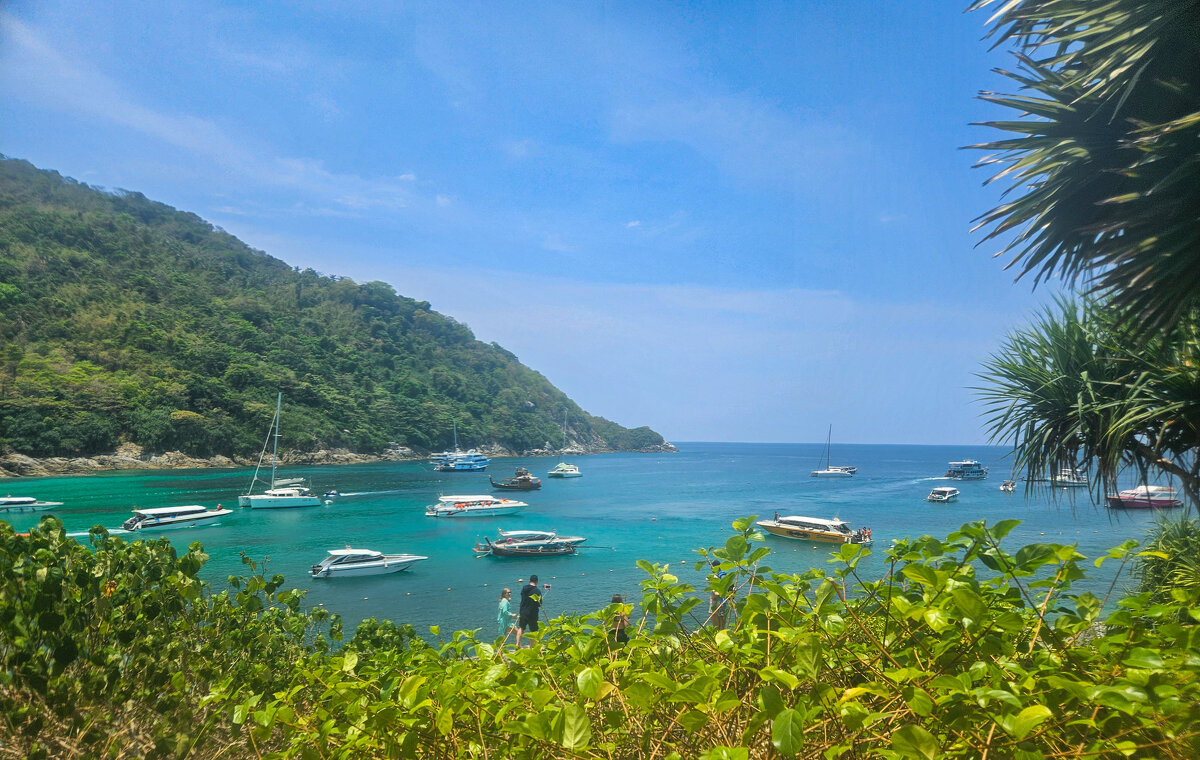 Симиланы - Renkse L.J.