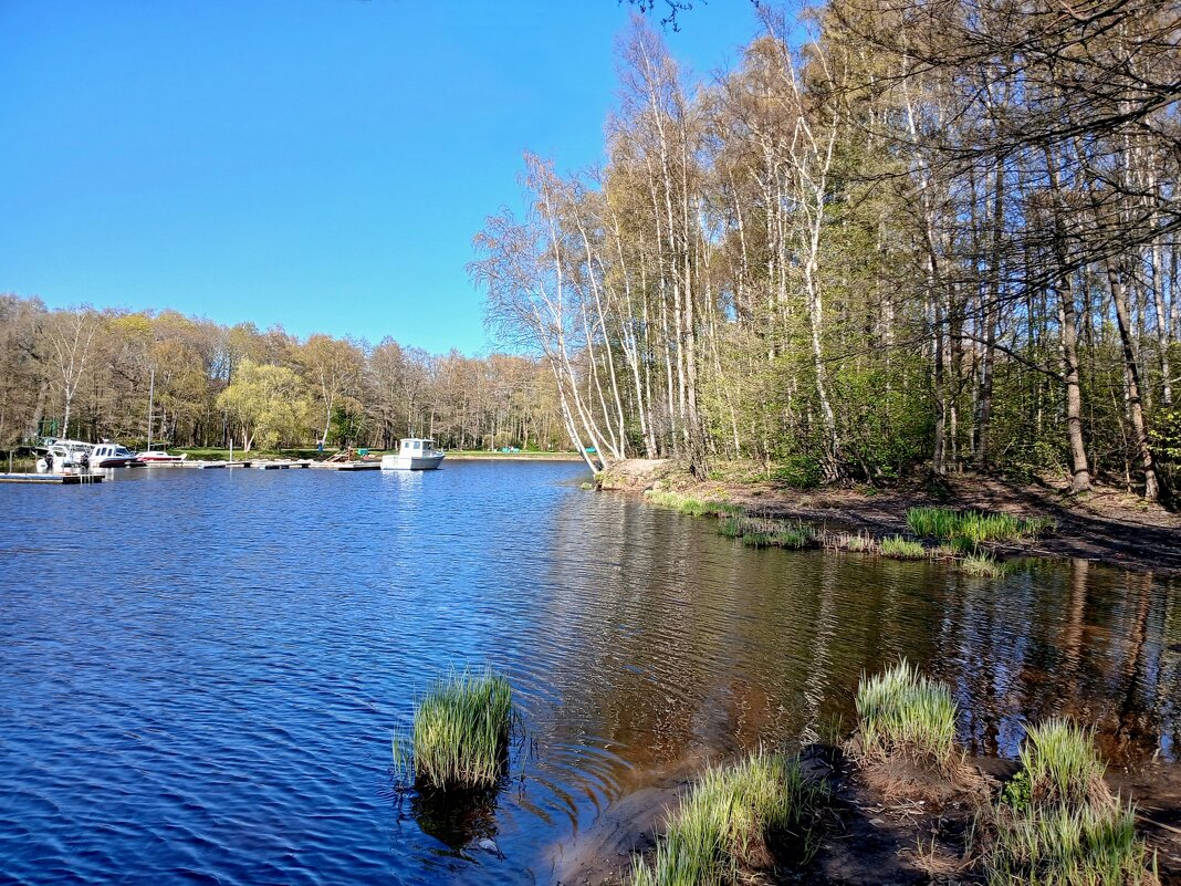 Солнечный май. - Лия ☼ Солнечный май. - Лия ☼