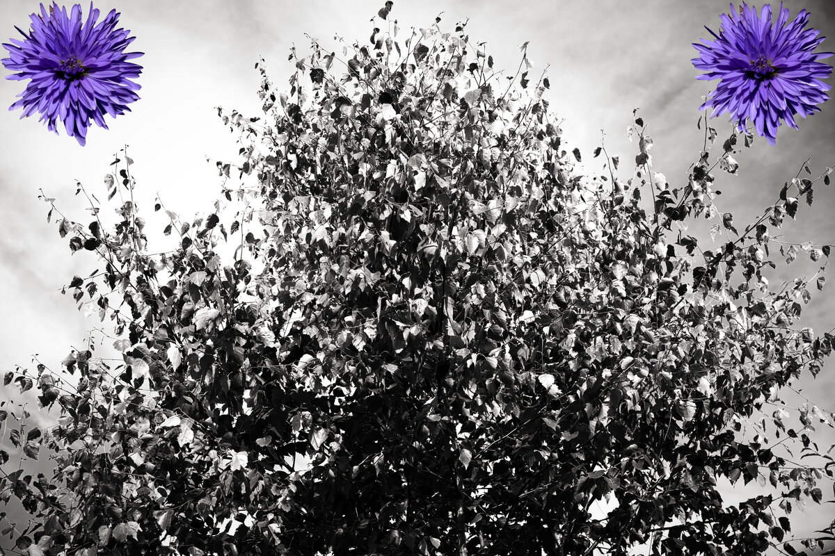 Назва. отсу. - Денис Безногов