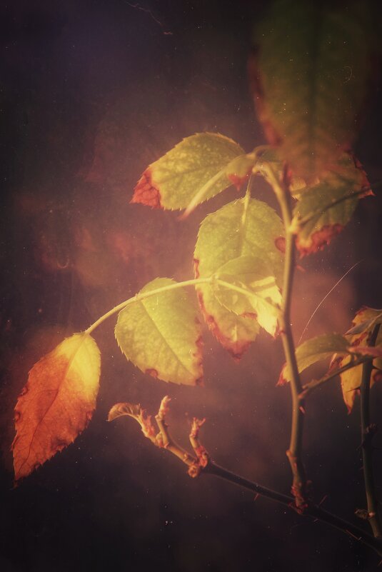 ... ... - Руслан 