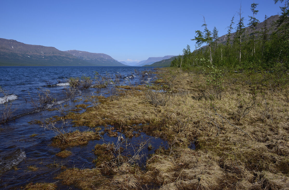 ** - Александр Хаецкий