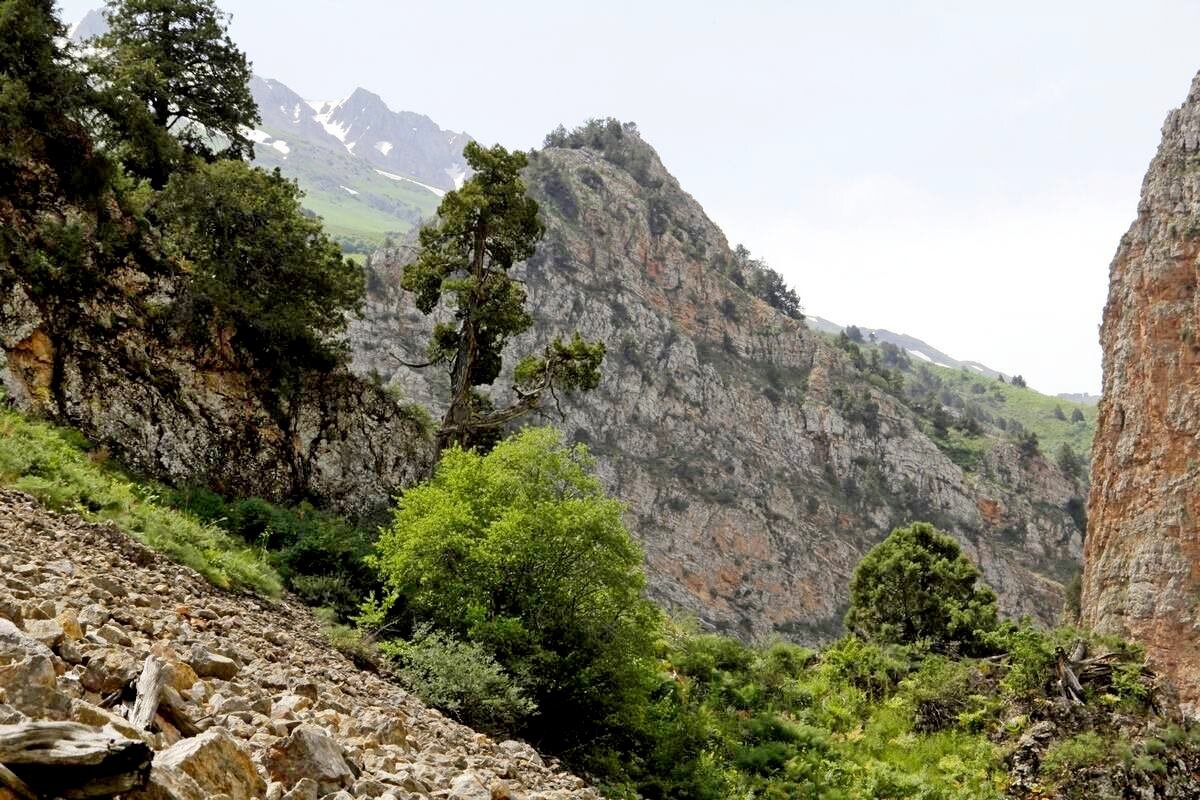 ПО ГОРАМ. - Виктор Осипчук