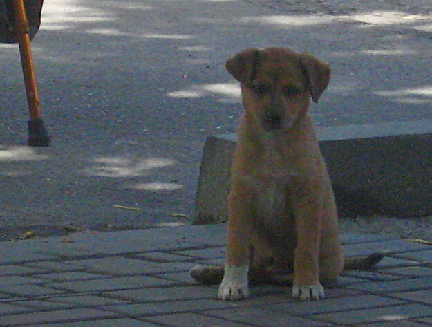 . - Александр Хоменко