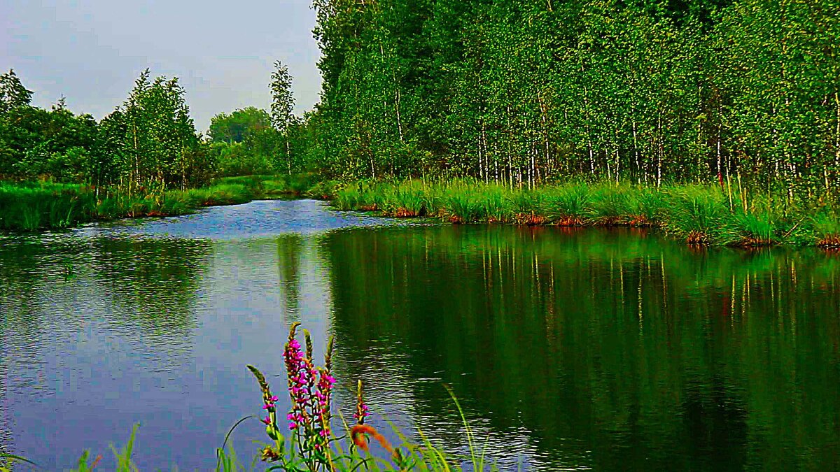 Июль...Тихий залив! - Владимир 