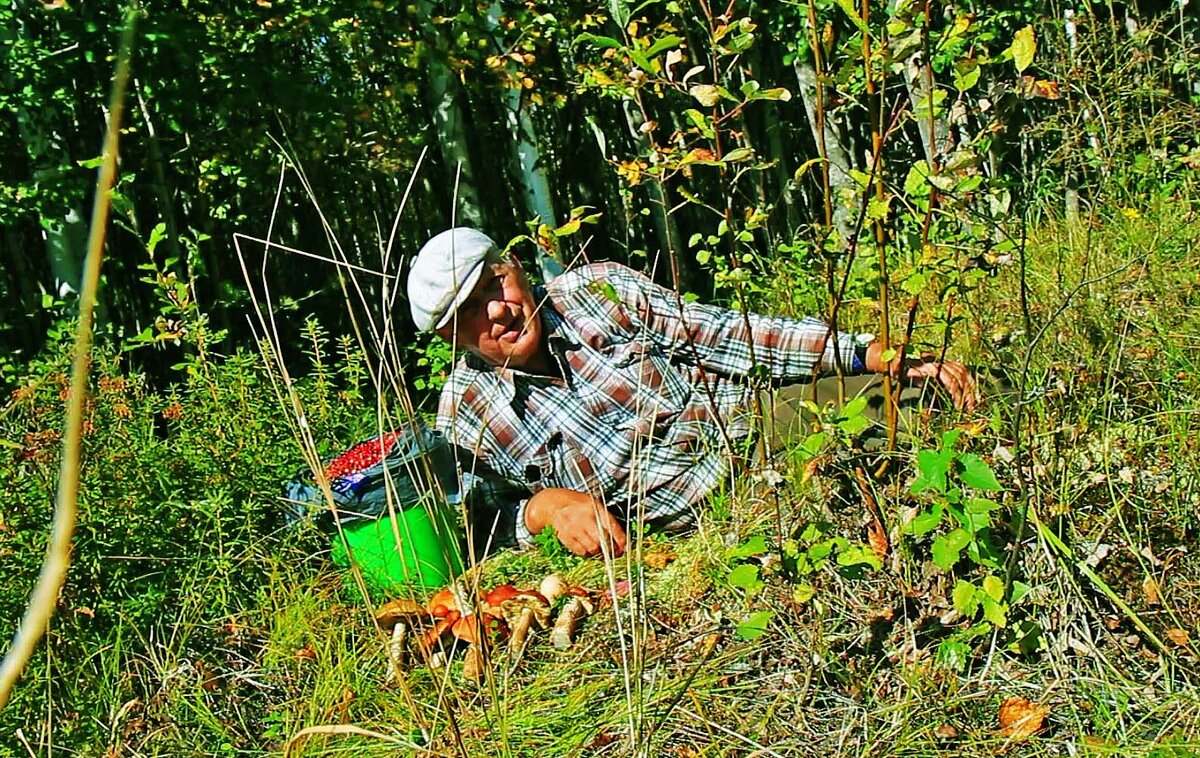 Август...Дары природы! - Владимир 