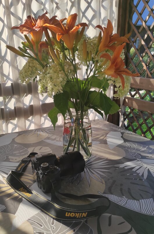 С днём фотографа, дорогие мои коллеги по сайту! - Татьяна Лютаева