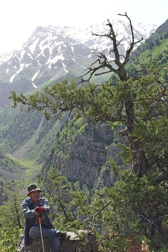 ГОРНЫЙ ДРУГ. - Виктор Осипчук