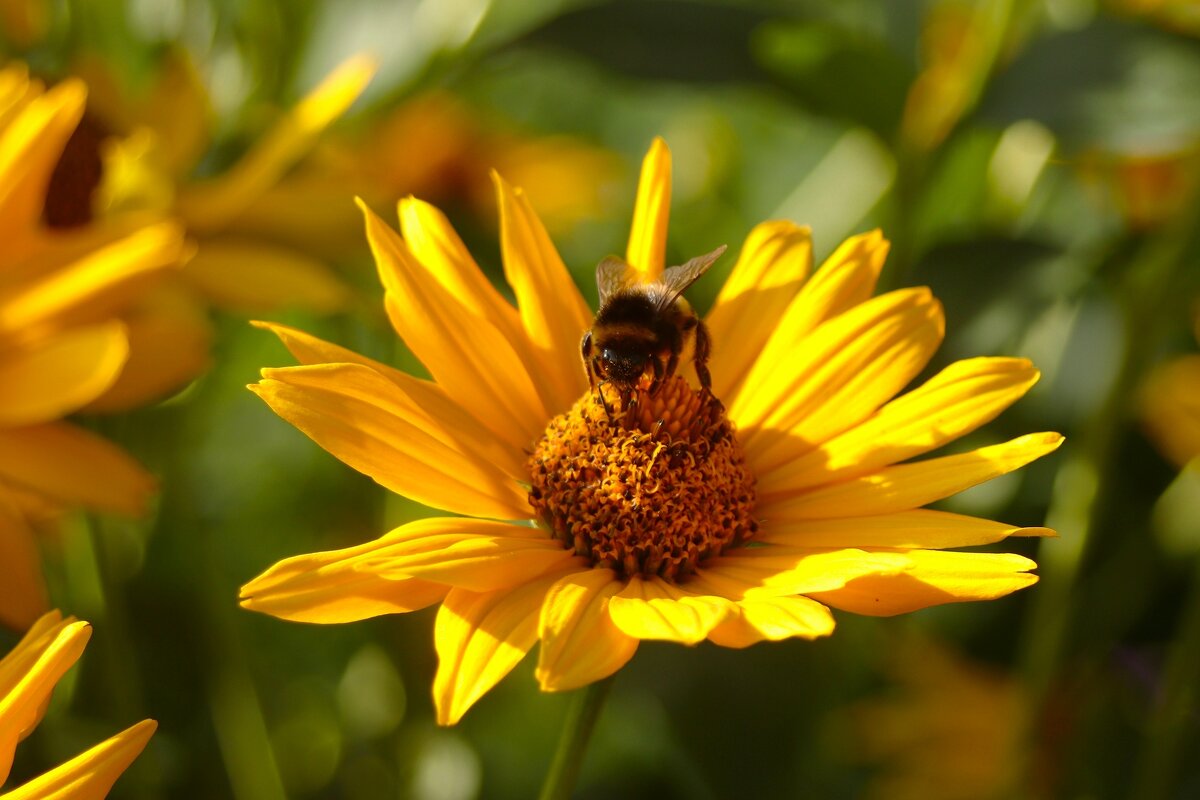 Доброе утро - Юрий. Шмаков Доброе утро - Юрий. Шмаков