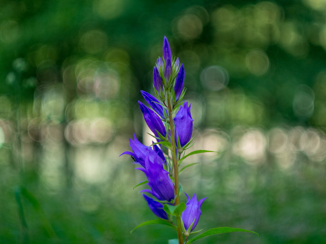 ___ - Yuriy V ___ - Yuriy V