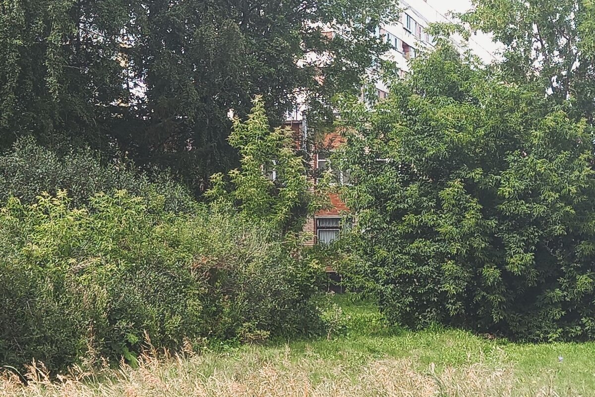 Дом, что спрятался, в кустах. - Игорь Солдаткин