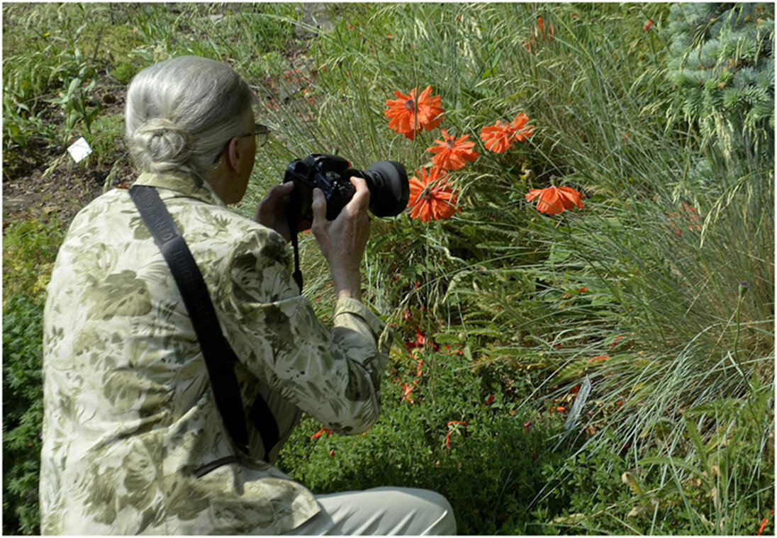 С Днем Фотографа - Aleksandr Gal
