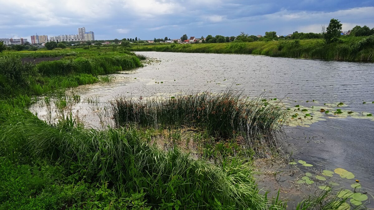 Усманка прекрасная окраина - Елена Шаламова Усманка прекрасная окраина - Елена Шаламова