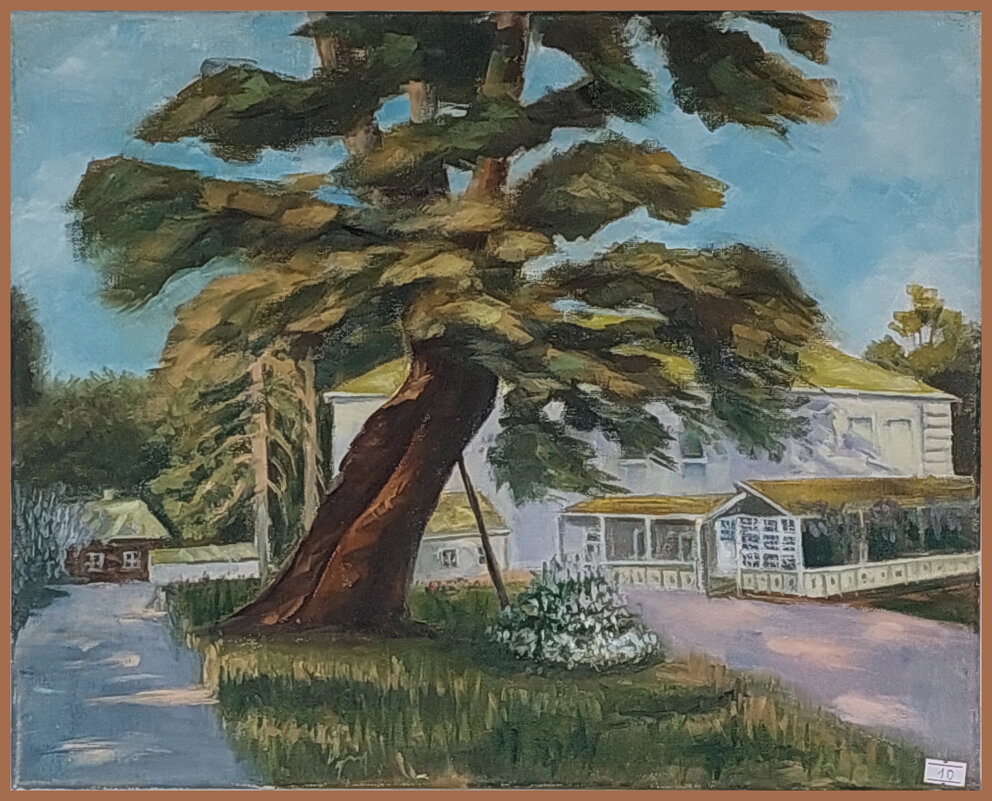 Поклонный вяз. - ИРЭН@ .