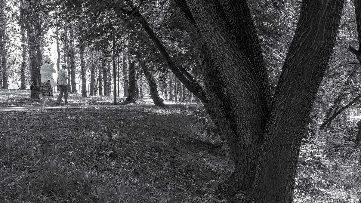 ***** - юрий поляков