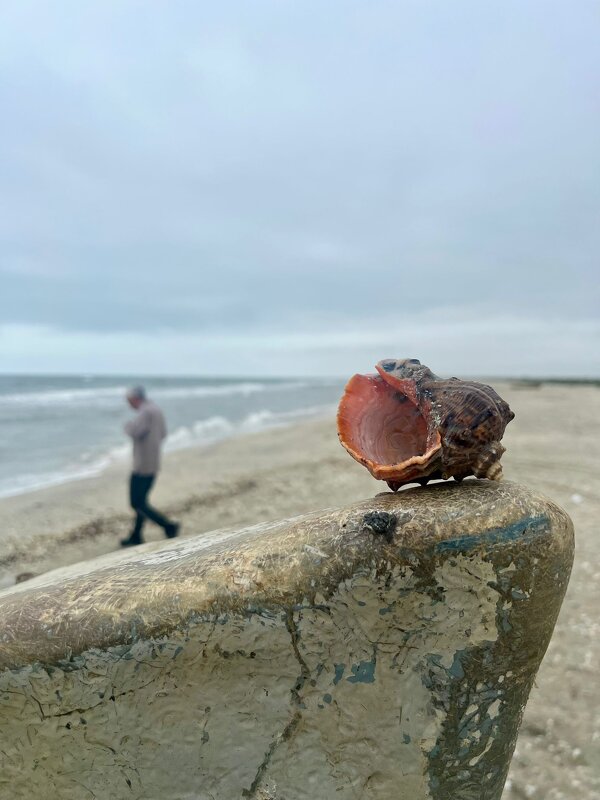 Черное море - А  И М