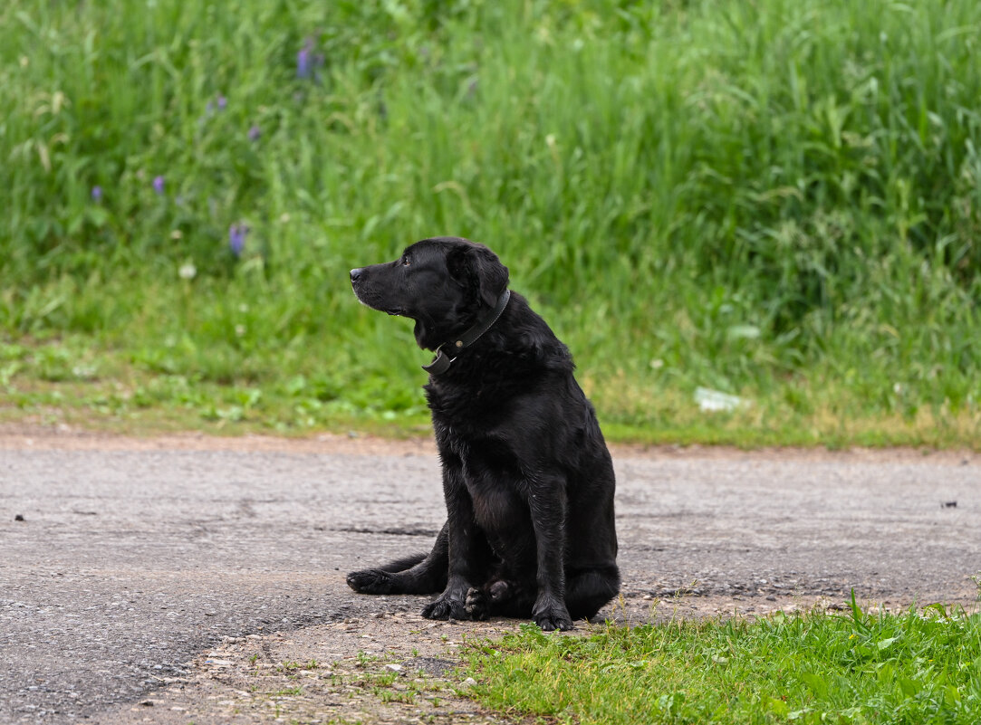 Потеряшка - Вадим 