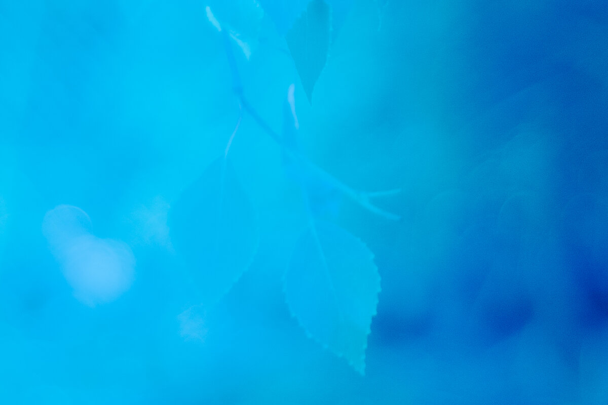 ******* - Валентина M