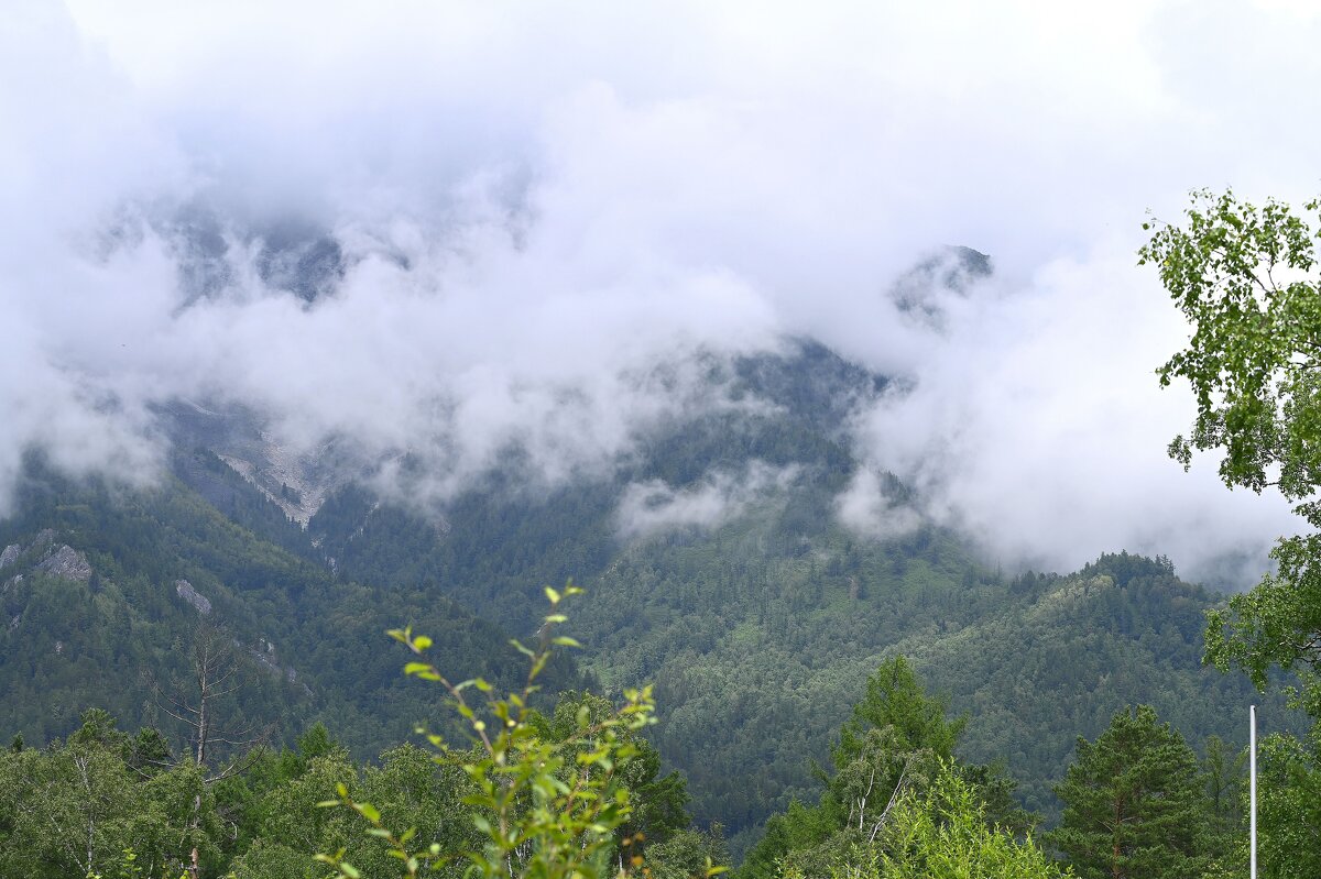 Предгорье Саян - Ольга 