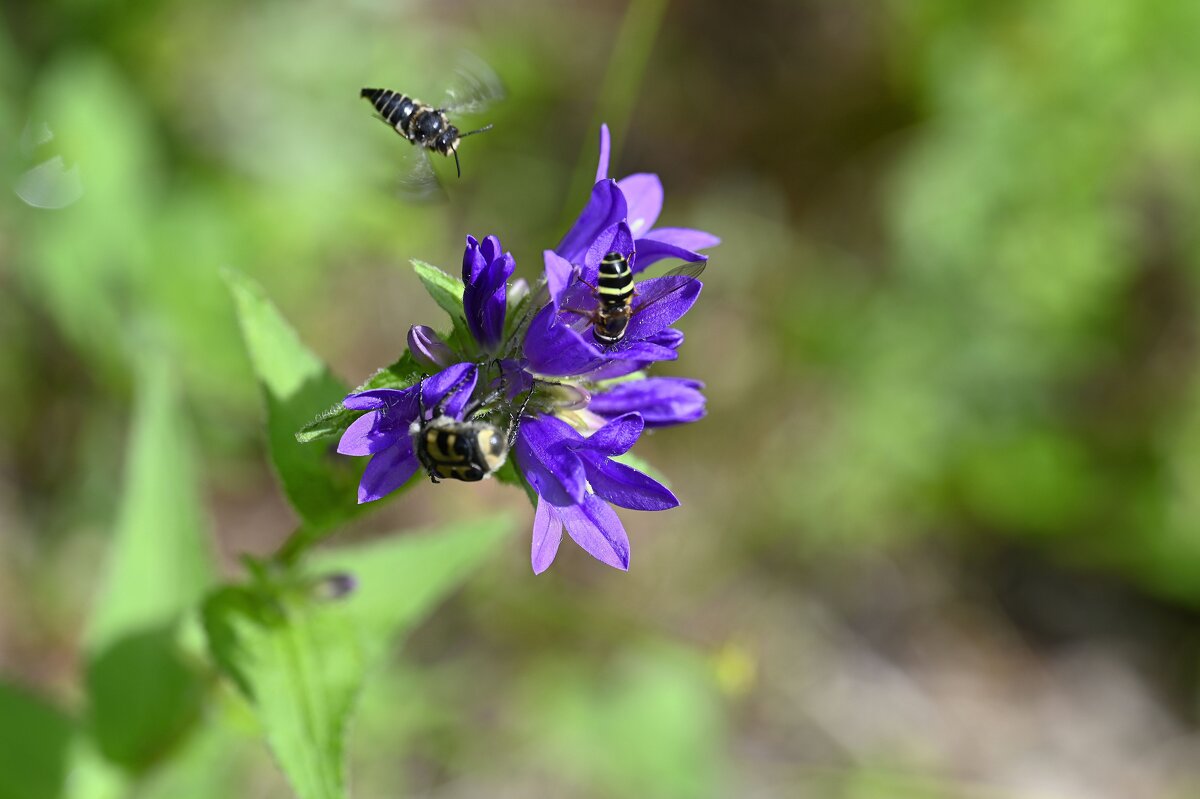 Лето - это маленькая жизнь - Ольга 