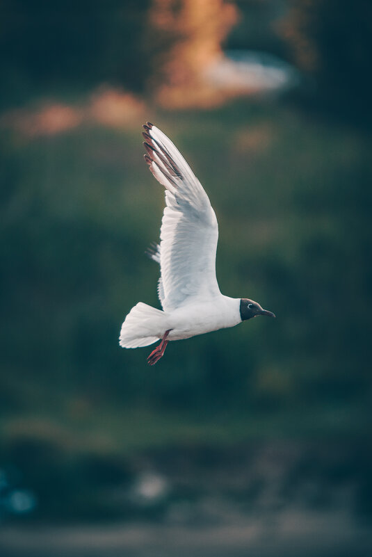 Летим - Aleksey Zaikin