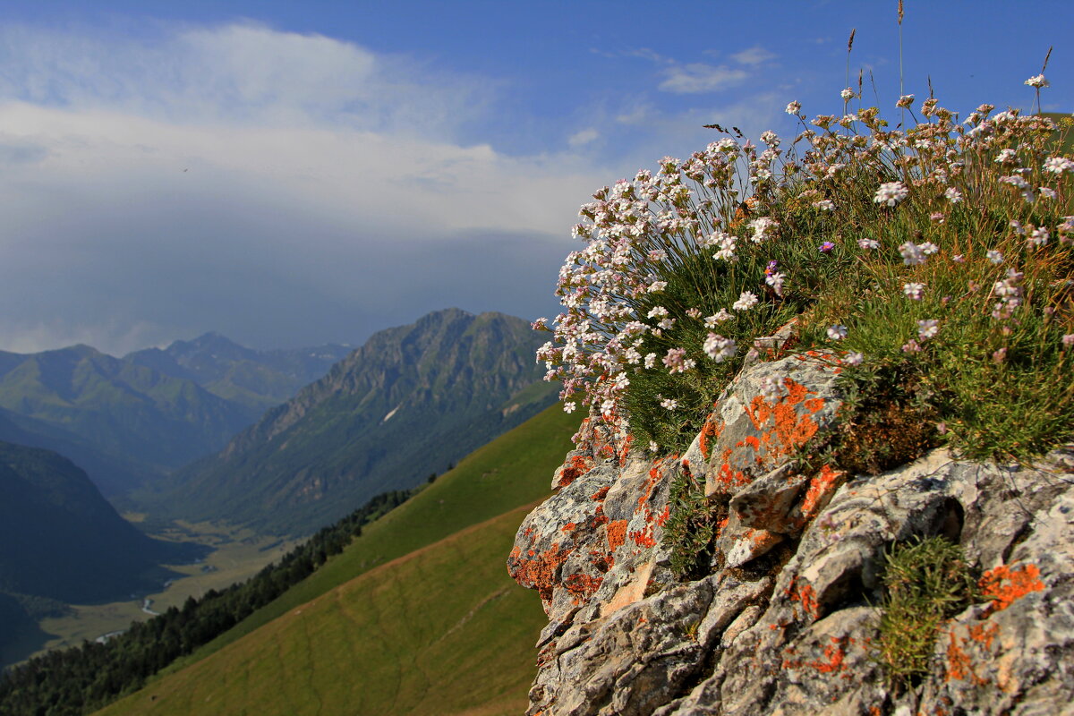 В горах К.-Ч.  Р - 5 - Анатолий Стрельченко