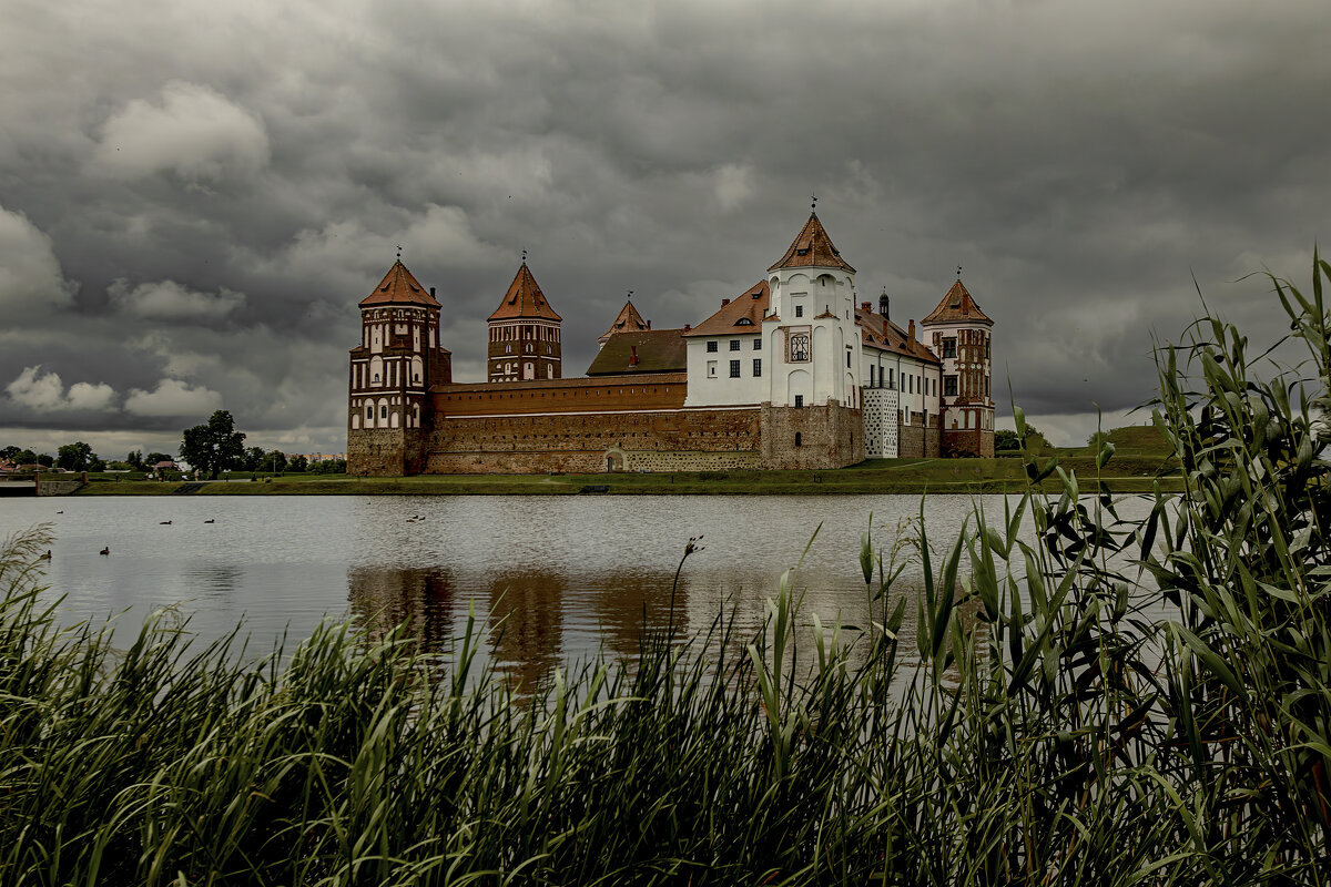 *** - Николай Климович