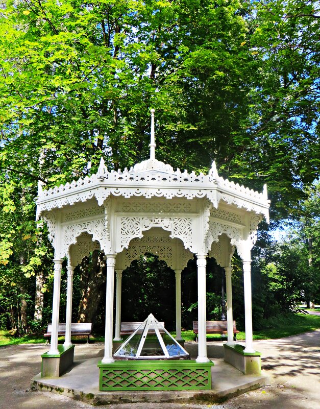 парк - марта Камушкина