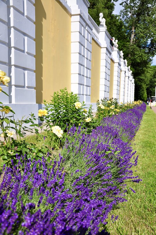 Усадьба - Александр Конов
