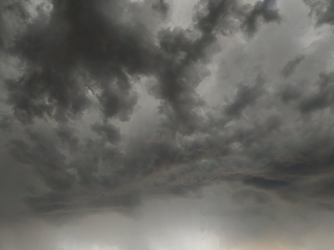 Как я провел День фотографа - Андрей Лукьянов