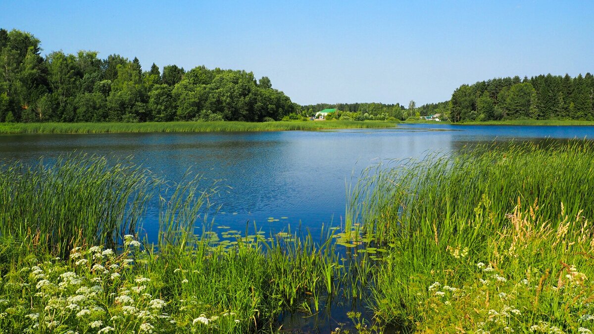 Наше лето. - Милешкин Владимир Алексеевич 