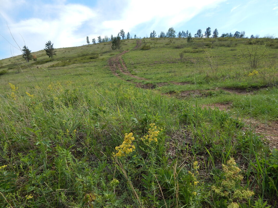 Дорога на вершину - Екатерина Панова Дорога на вершину - Екатерина Панова