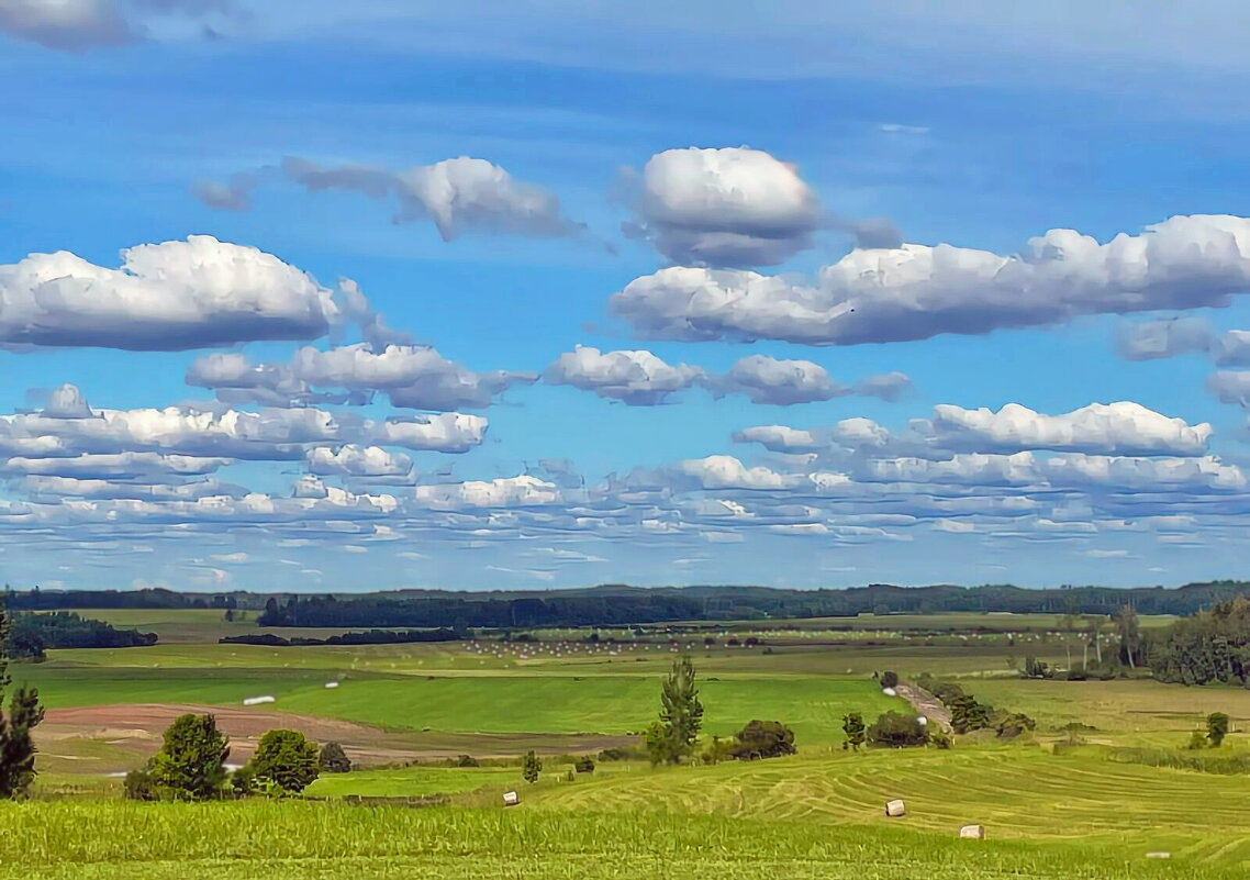 Aumeisteri 120725 m - Arturs Ancans