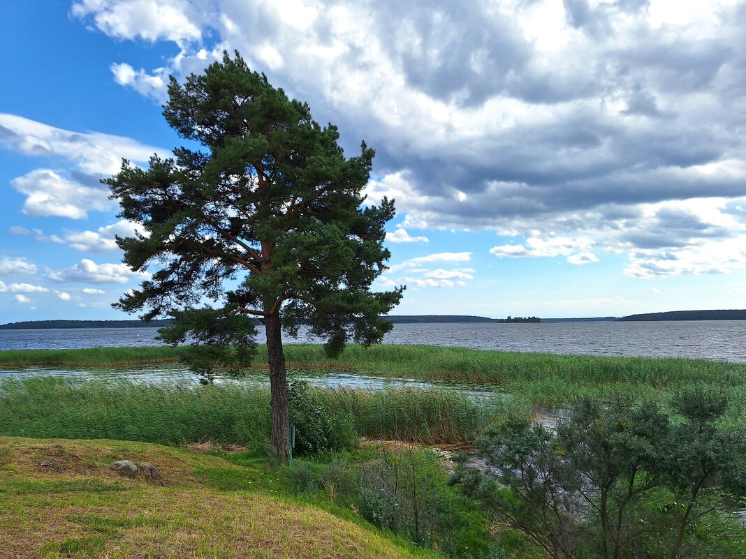 Селигер - Наталья 